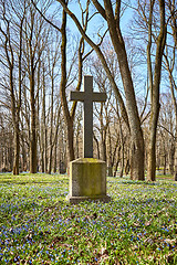 Image showing old historic cemetery cross