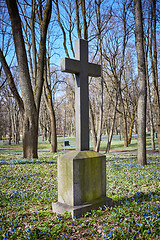 Image showing old historic cemetery cross