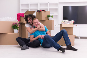 Image showing young  gay couple moving  in new house