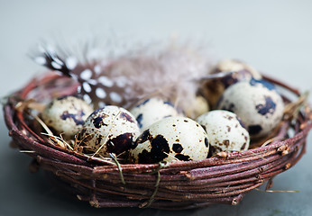 Image showing quail eggs