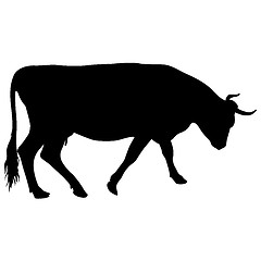 Image showing Black silhouette of cash cow on white background