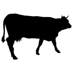 Image showing Black silhouette of cash cow on white background