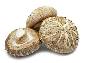 Image showing Brown Shiitake mushrooms 