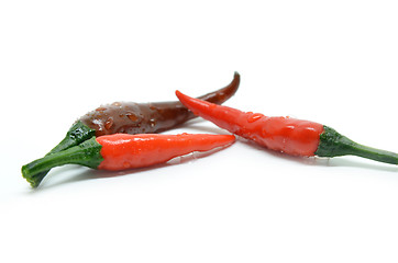 Image showing Red chili pepper