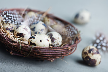 Image showing quail eggs