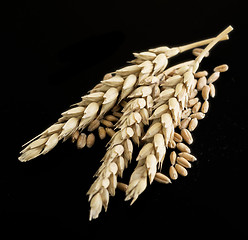 Image showing wheat ears