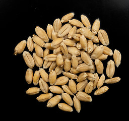 Image showing wheat grain