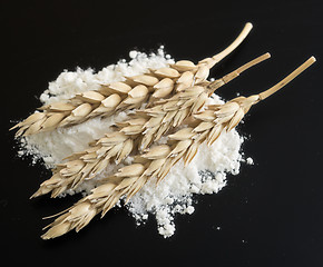 Image showing wheat ears