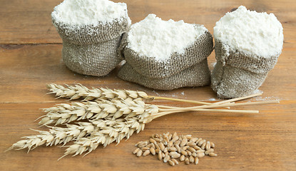 Image showing flour and wheat