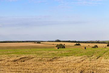 Image showing agricultural field and blue sky