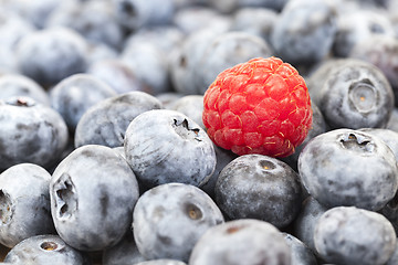 Image showing ripe blueberries, close-up