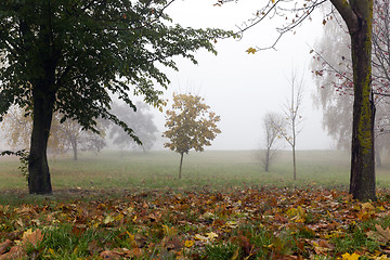 Image showing Fog in autumn season