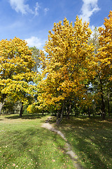 Image showing Maple Park in autumn