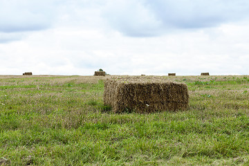 Image showing square haystack closeup