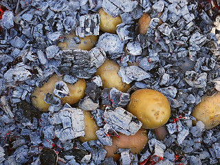 Image showing Potato tubers baked in the hot charcoal