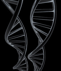 Image showing DNA structure model. 3d illustration