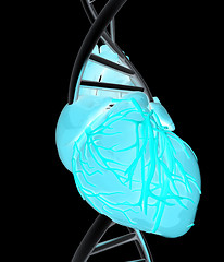 Image showing DNA and heart. 3d illustration