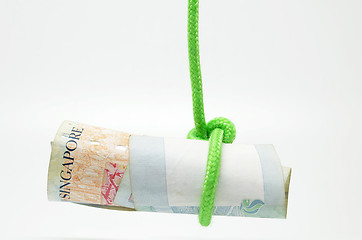 Image showing Dangling Singapore dollar  