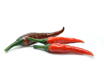 Image showing Red chili pepper