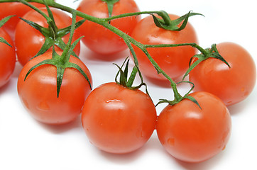 Image showing Red cherry tomato