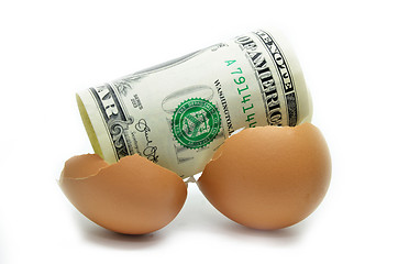 Image showing US dollar on cracked egg