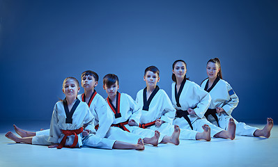 Image showing The studio shot of group of kids training karate martial arts