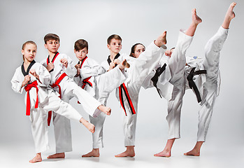 Image showing The studio shot of group of kids training karate martial arts