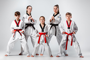Image showing The studio shot of group of kids training karate martial arts