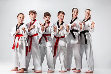 Image showing The studio shot of group of kids training karate martial arts