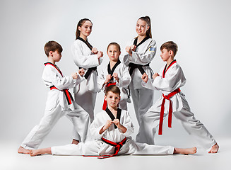 Image showing The studio shot of group of kids training karate martial arts