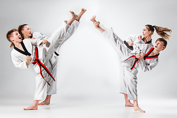 Image showing The studio shot of group of kids training karate martial arts