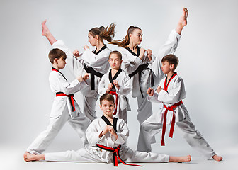 Image showing The studio shot of group of kids training karate martial arts