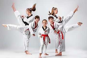 Image showing The studio shot of group of kids training karate martial arts