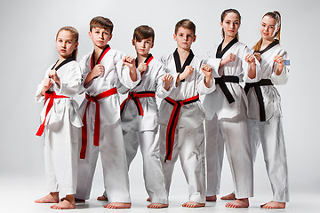 Image showing The studio shot of group of kids training karate martial arts