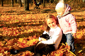 Image showing sisters play with cat in the autumn park