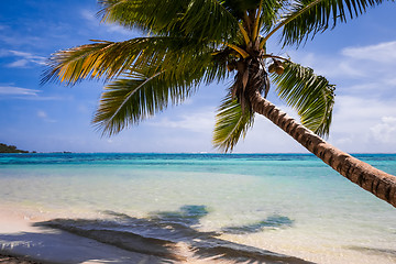 Image showing Paradise tropical beach and lagoon in Moorea Island