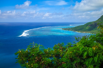 Image showing Aerial view of Opunohu Bay and lagoon in Moorea Island