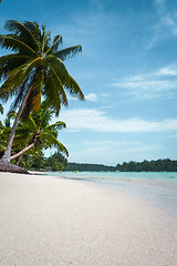 Image showing Paradise tropical beach and lagoon in Moorea Island