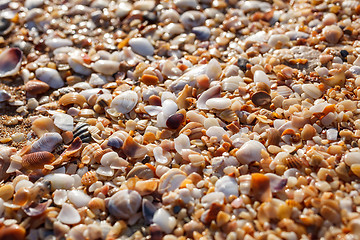 Image showing Sea pebbles closeup