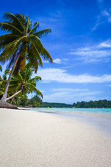 Image showing Paradise tropical beach and lagoon in Moorea Island