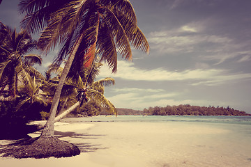 Image showing Paradise tropical beach and lagoon in Moorea Island