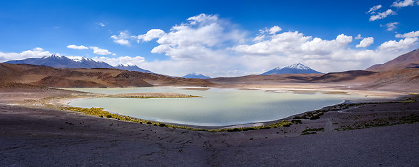 Image showing Laguna Honda in sud Lipez Altiplano reserva, Bolivia