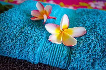 Image showing White tiare flowers on a towel