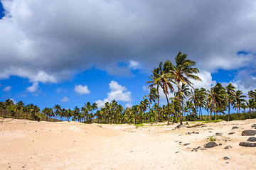 Image showing Palm trees on Anakena beach, easter island