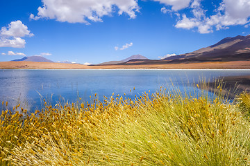 Image showing Altiplano laguna in sud Lipez reserva, Bolivia