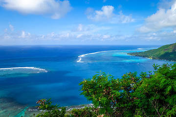 Image showing Aerial view of Opunohu Bay and lagoon in Moorea Island