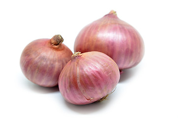 Image showing Purple onion isolated on a white background