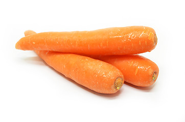 Image showing Carrot isolated on white background