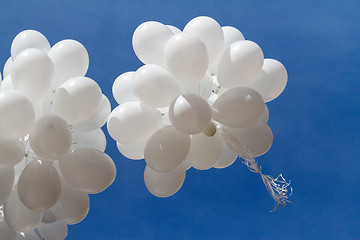 Image showing White balloons against the sky