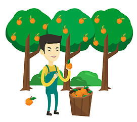 Image showing Farmer collecting oranges vector illustration.